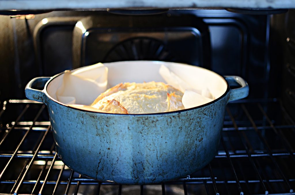 Partially baked sourdough loaf in blue dutch oven