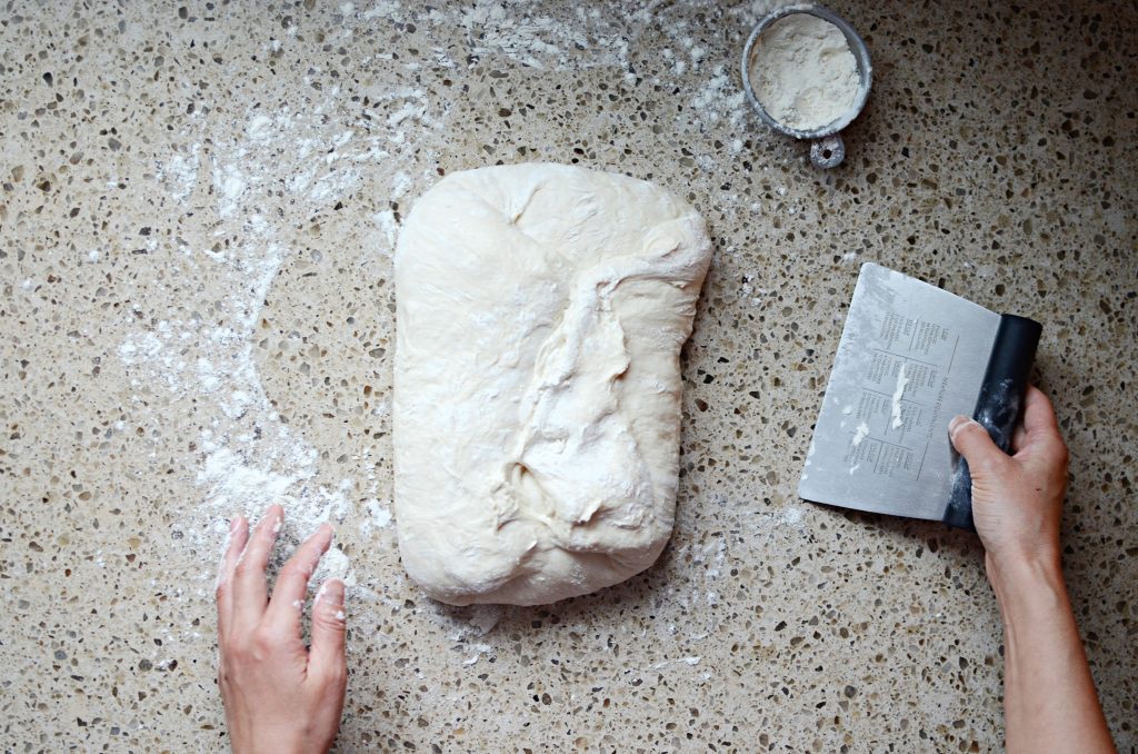 folded sourdough dough