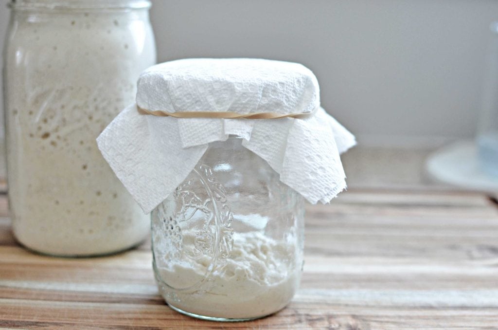 Sourdough starter in mason jar with paper towel over the top held on with a rubber band.