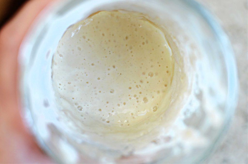 sourdough starter in mason jar