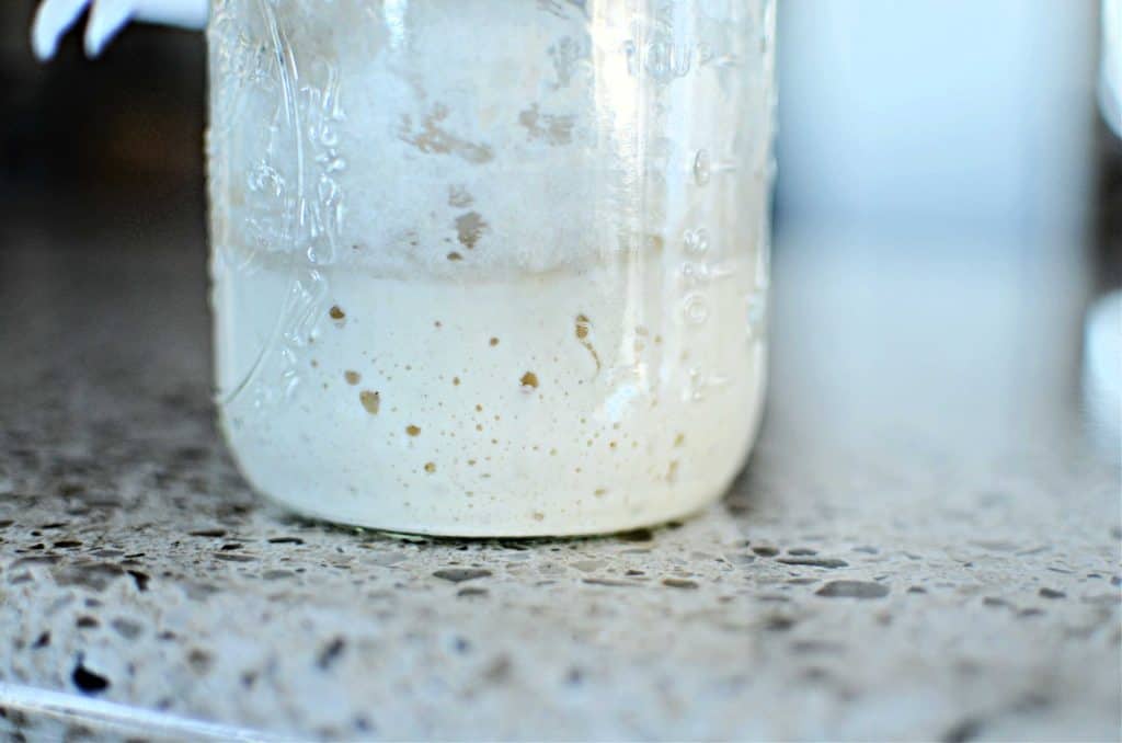 starter with bubbles in jar