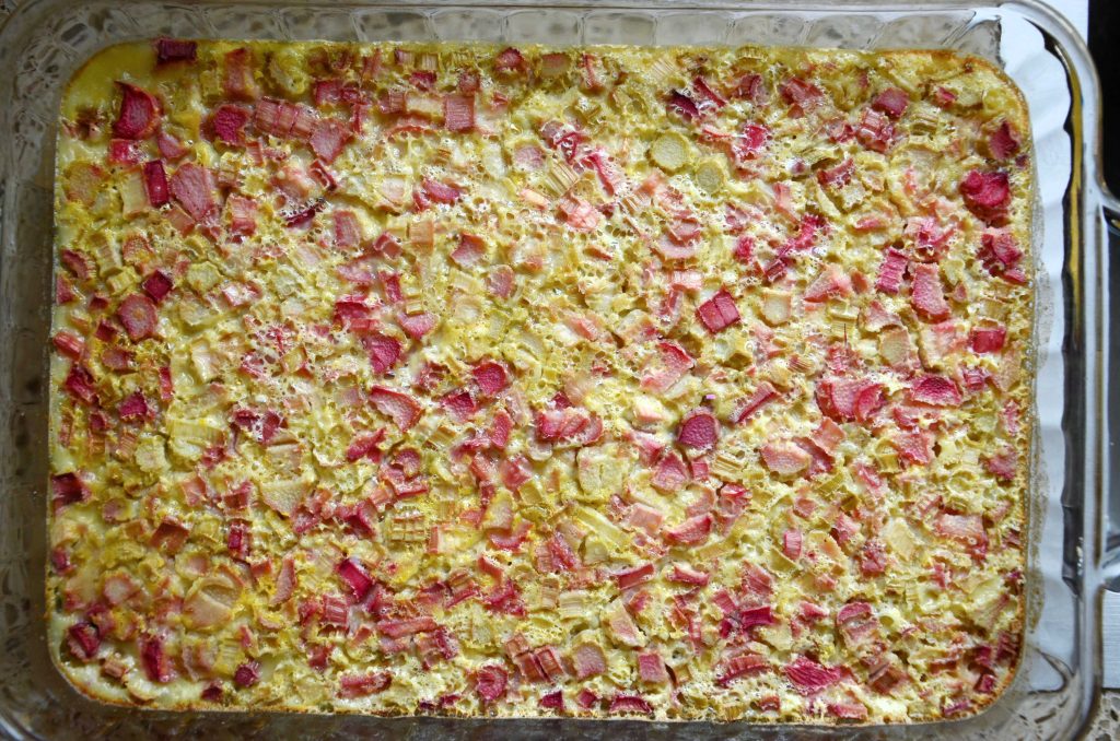 Baked rhubarb custard bars