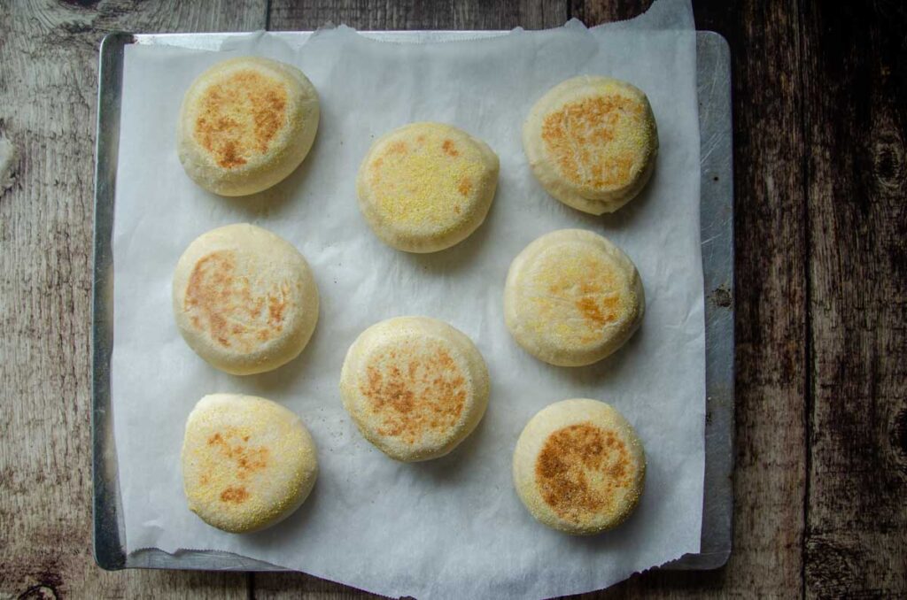 Cooked sourdough English muffins on a parchment lined baking sheet.