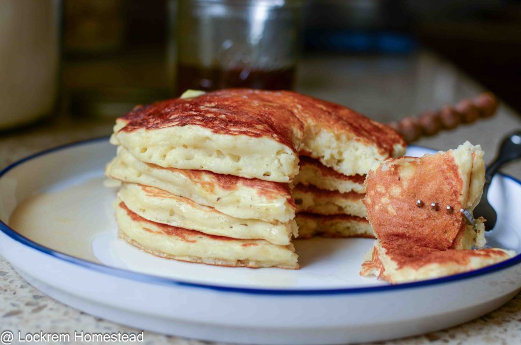 Sourdough pancakes stacked with a fork full of pancake bites