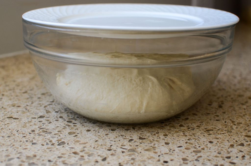 sourdough English muffin dough in glass bowl with plate over bowl