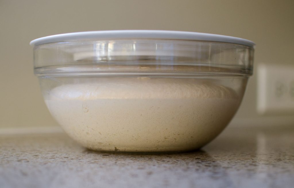 glass bowl of fermented English muffin dough with a white plate over the top