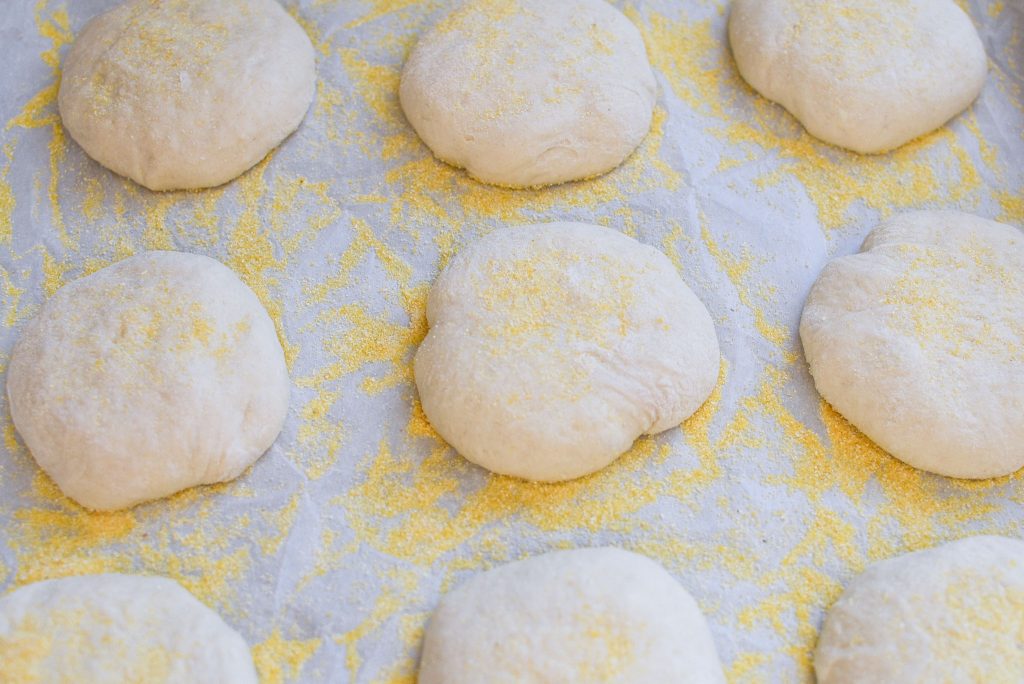 sourdough English muffins on cornmeal cookie sheet and parchment paper slightly raised