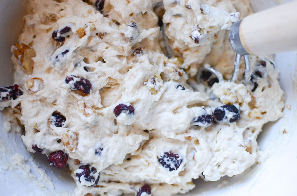 cranberry walnut bread dough 