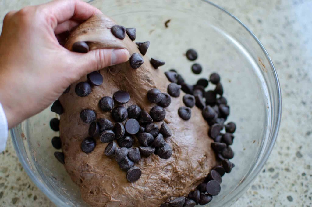 adding chocolate chips into chocolate sourdough bread dough