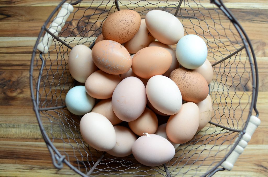 wire basket full of chicken eggs