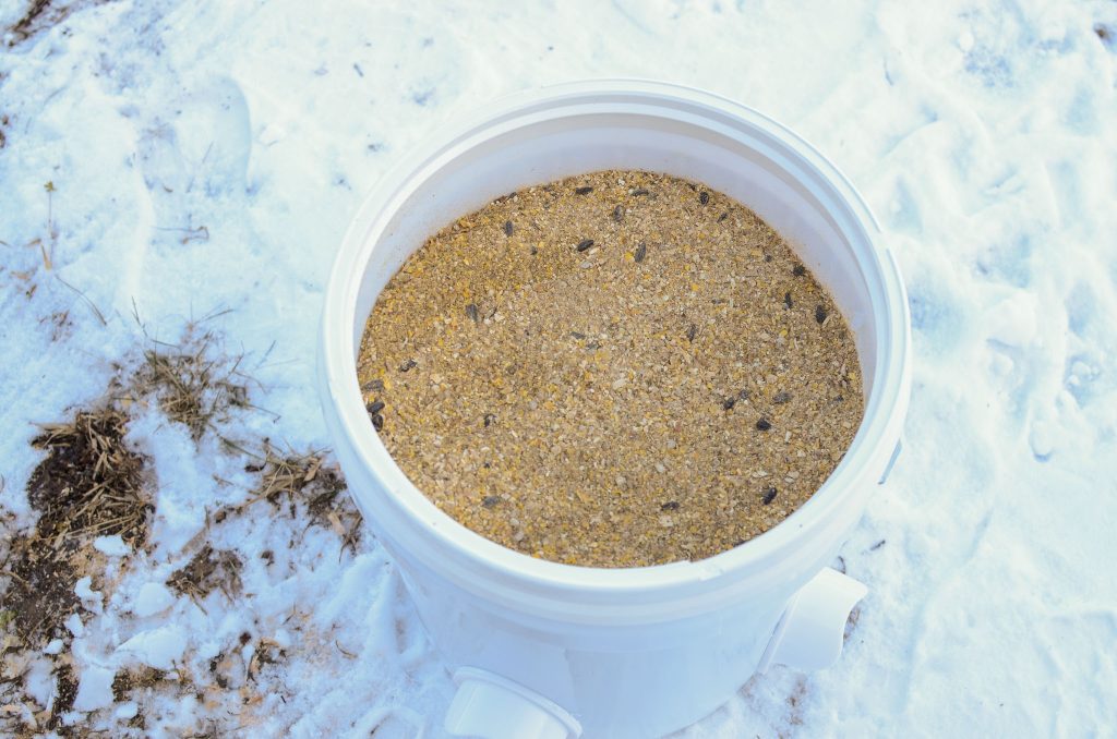 a bucket full of chicken feed