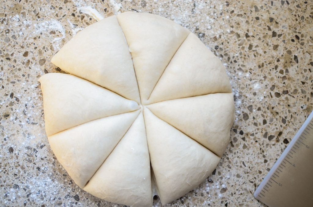 sourdough bagel dough round cut into 8 wedges on counter