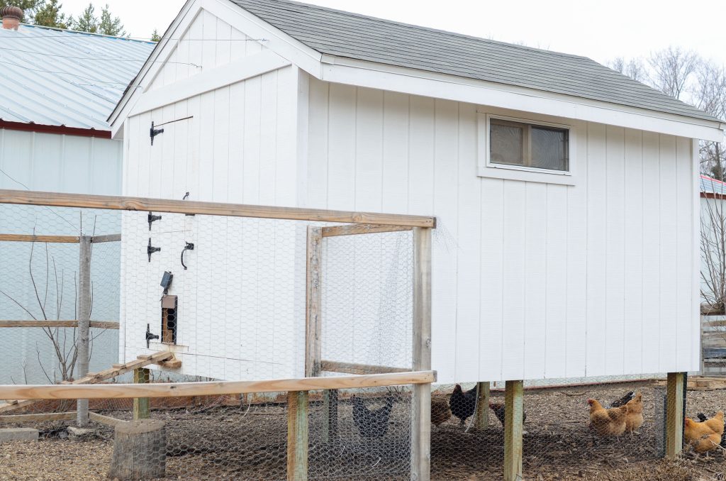 white chicken coop and chicken run fencing 