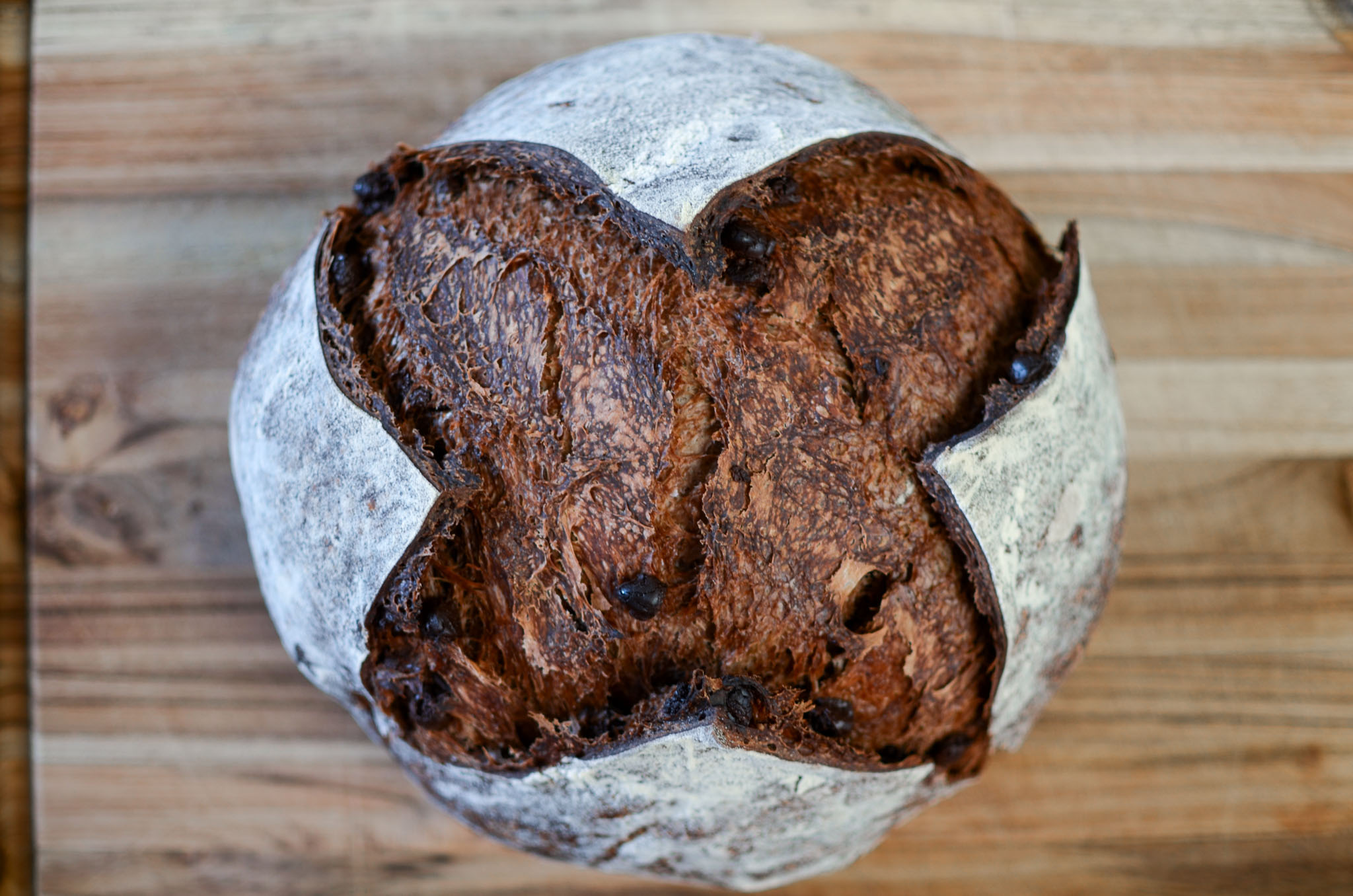 chocolate sourdough boule