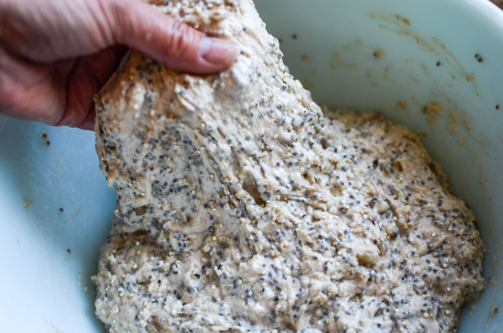 Seeded multigrain sourdough bread dough lifted