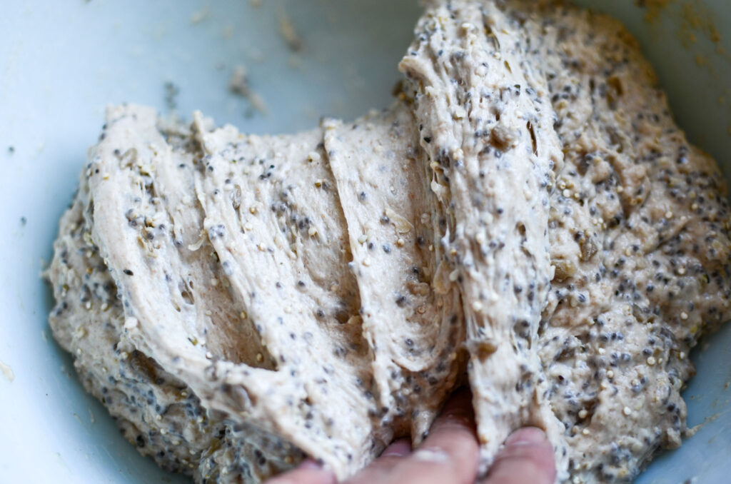 Seeded multigrain sourdough bread dough lifted and folded over itself