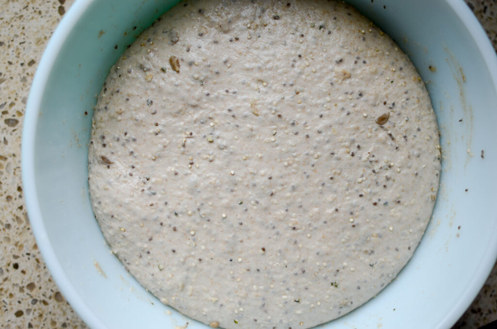 Seeded multigrain sourdough bread dough after the bulk fermentation, doubled in size