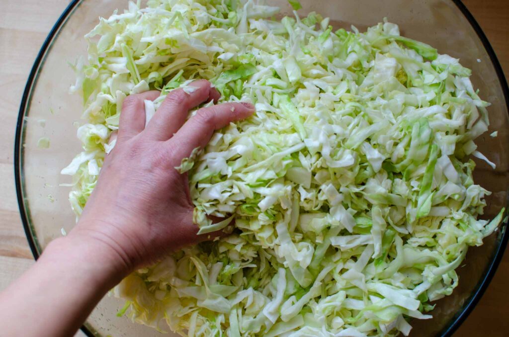 massaging a bowl of shredded cabbage with salt