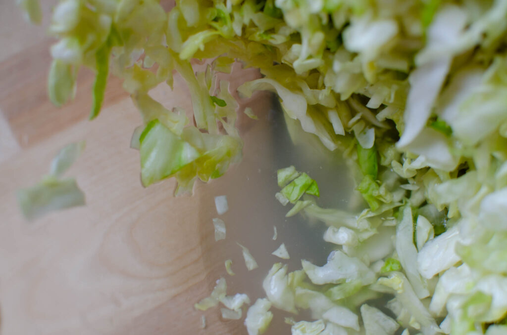 the liquid pulled from salted cabbage to make Probiotic Rich Homemade Fermented Sauerkraut 