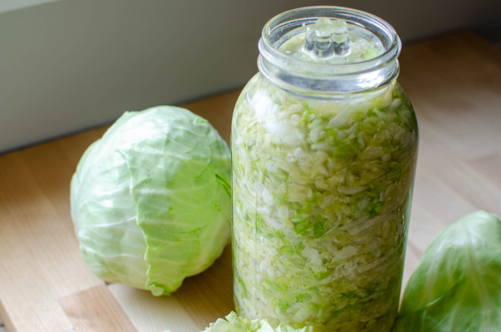 Probiotic Rich Homemade Fermented Sauerkraut  in a glass mason jar and a head of cabbage