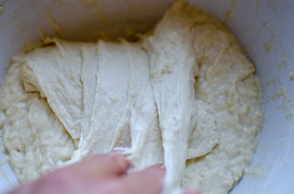 Folding the sourdough ciabatta dough over