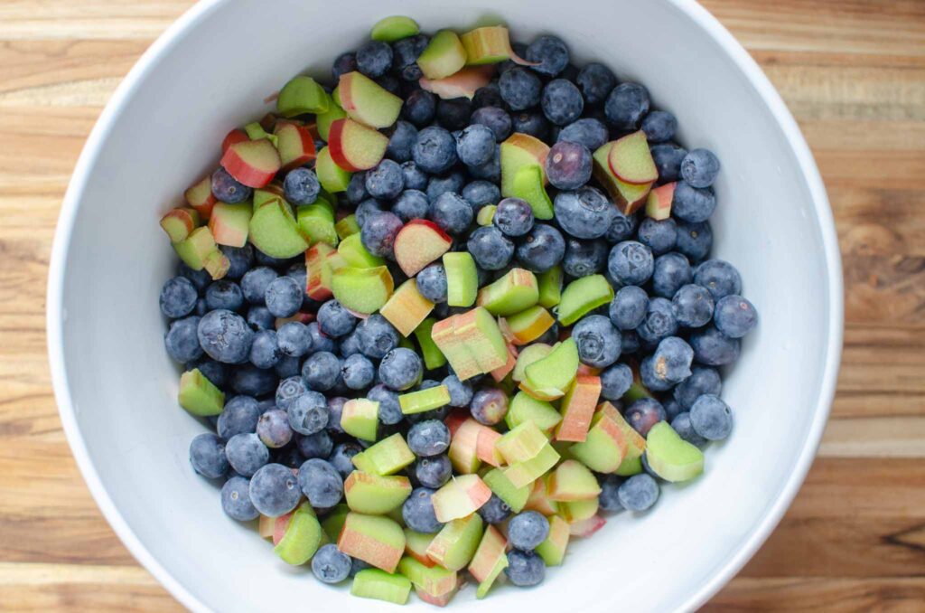 Blueberries and rhubarb in white bowl