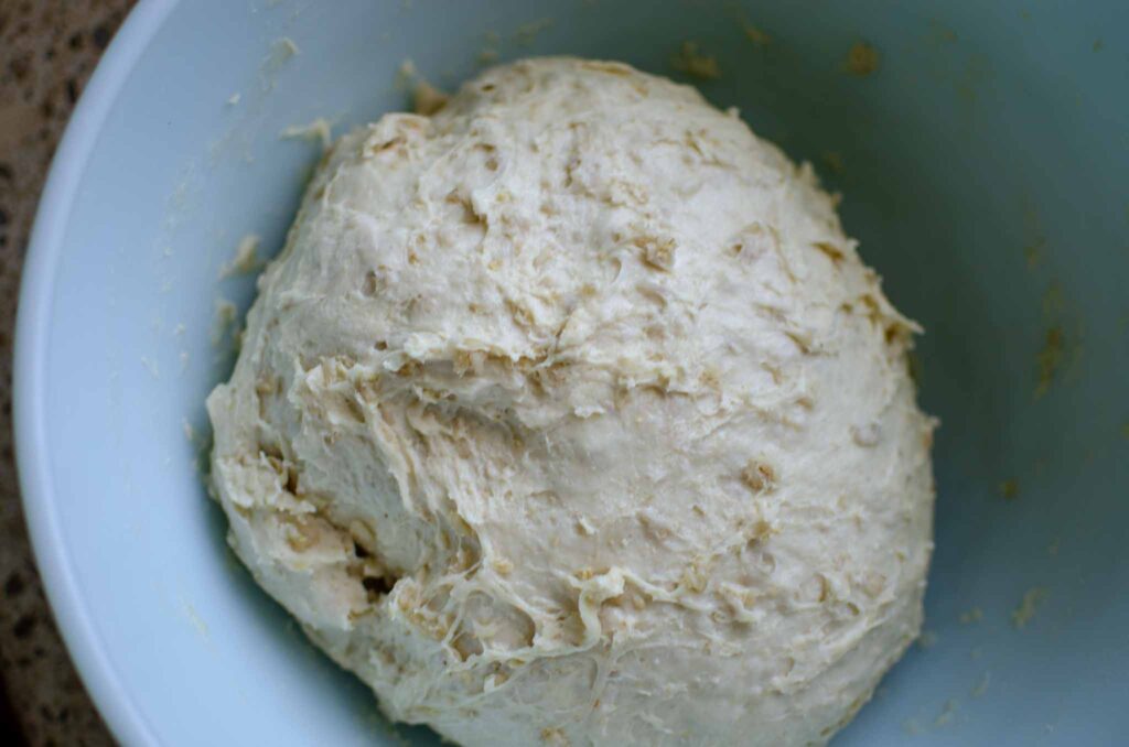 sourdough oatmeal dinner rolls dough before bulk fermentation