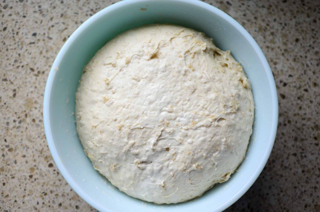 sourdough oatmeal dinner rolls dough after bulk fermentation