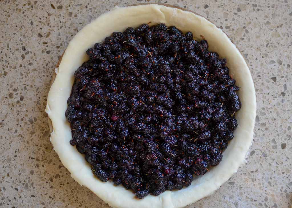 mulberry pie filling in pie dough in pan