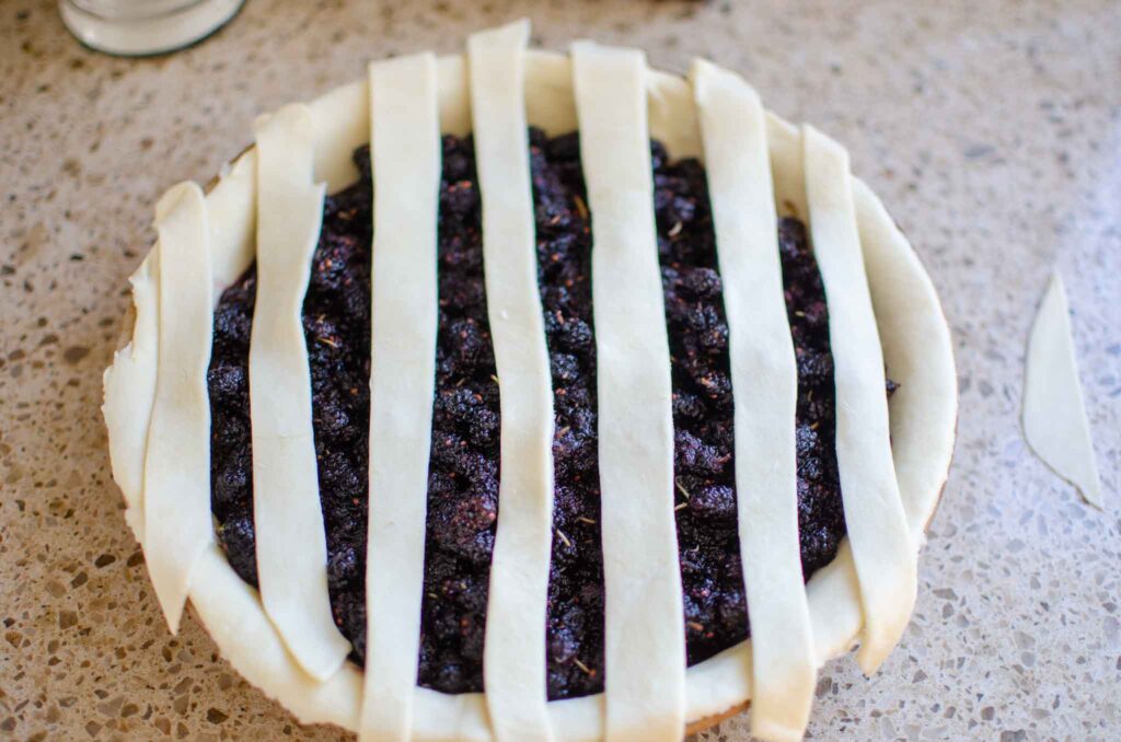 Parallel strips of sourdough pie dough on mulberry pie