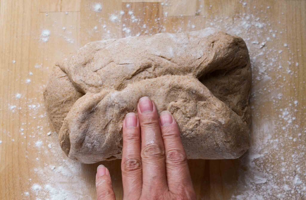 folding the bottom of the dough up to the middle