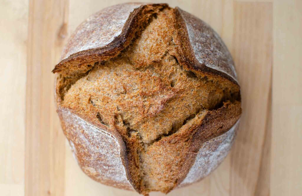 A loaf of 100% whole wheat sourdough bread 