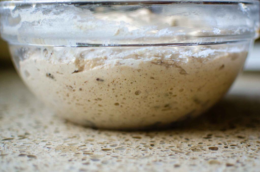 side profile view of sourdough English muffin dough in bowl