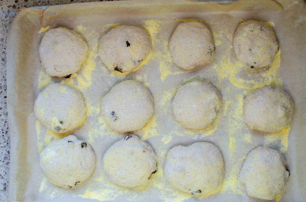 sourdough cinnamon raisin English muffins on baking sheet after 2nd rise