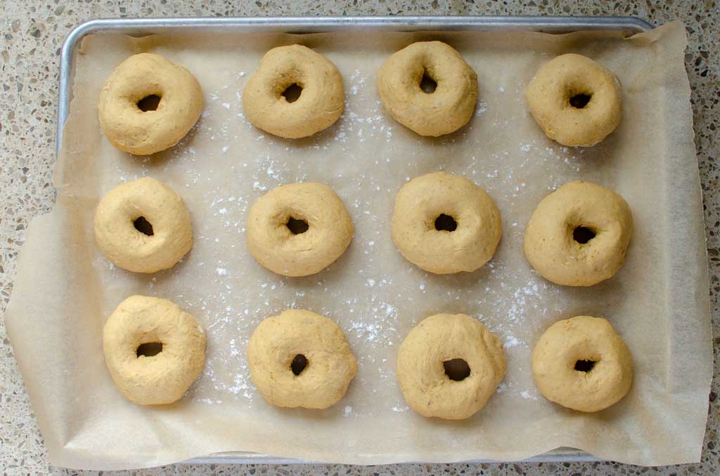 The shaped sourdough bagel dough on a baking sheet to rise