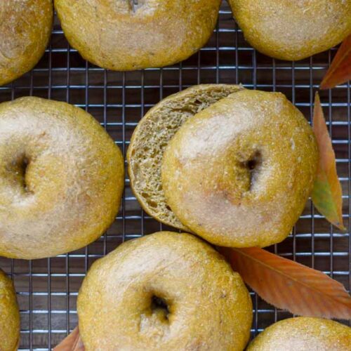 sourdough pumpkin bagels on a wire cooling rack