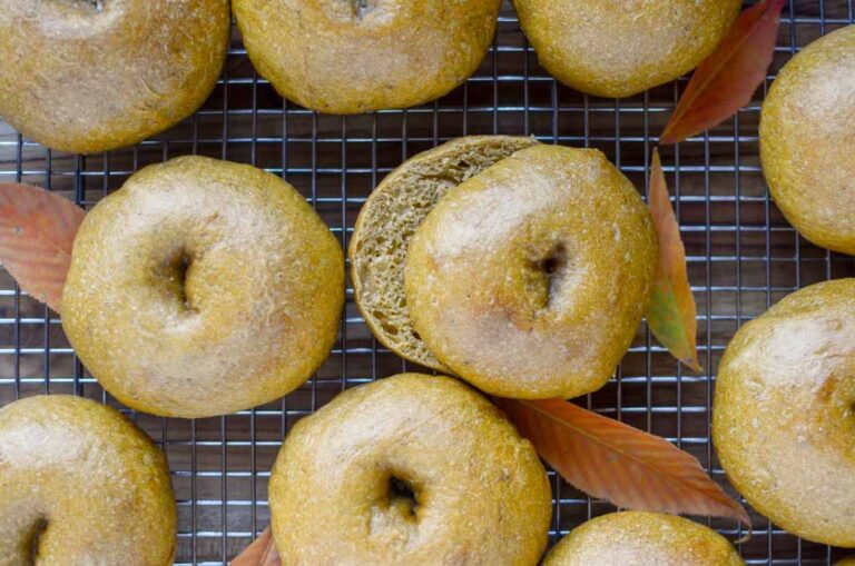 sourdough pumpkin bagels on a wire cooling rack