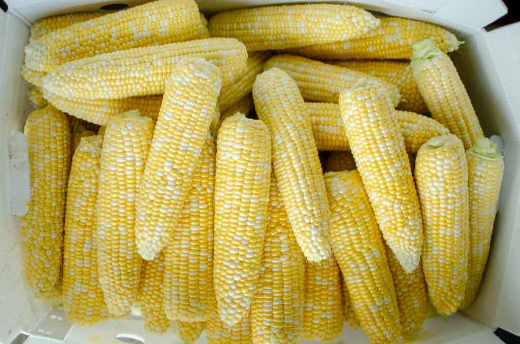 a box of sweet corn cobs