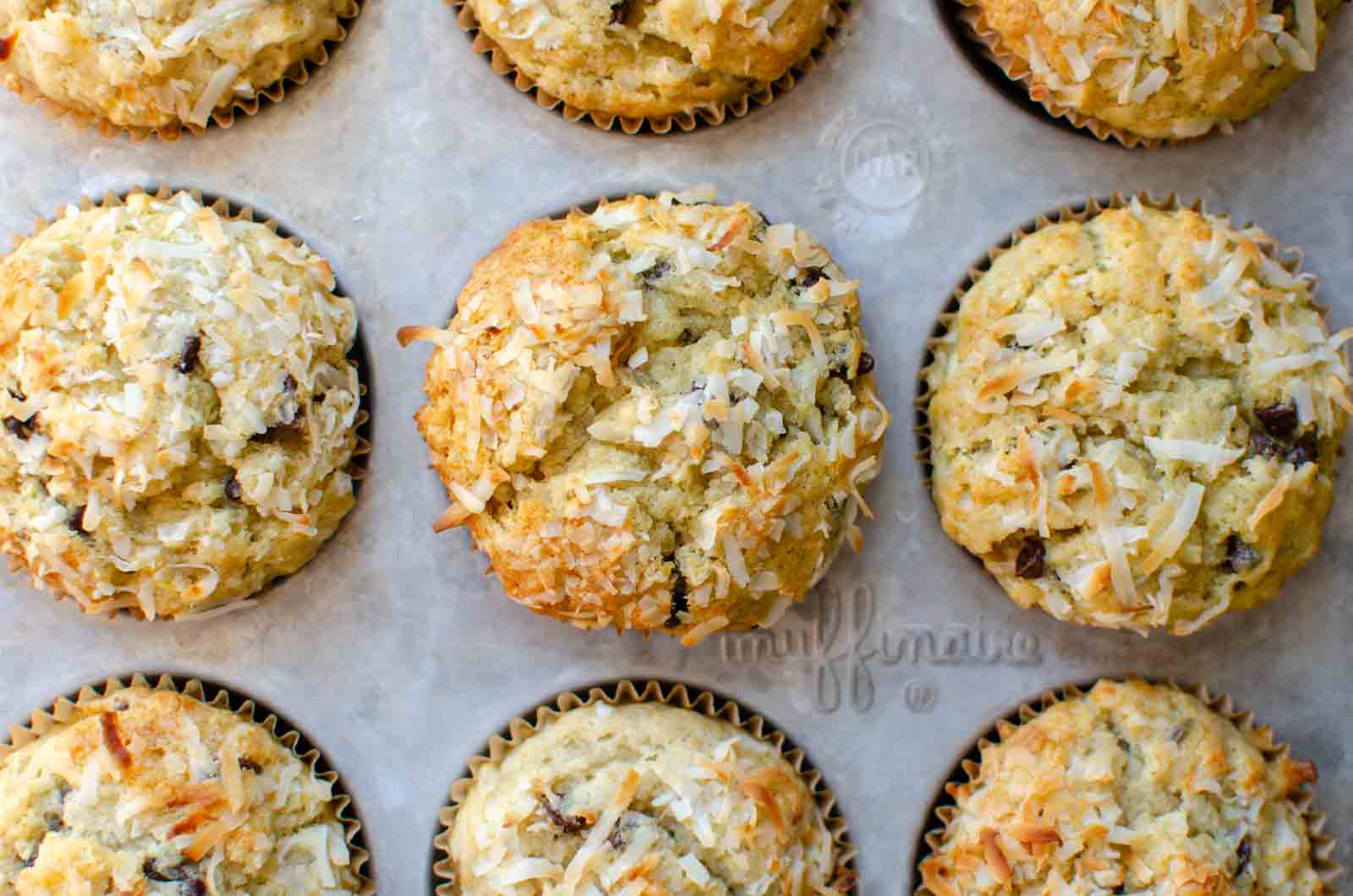 sourdough banana coconut chocolate chip muffins in a muffin pan