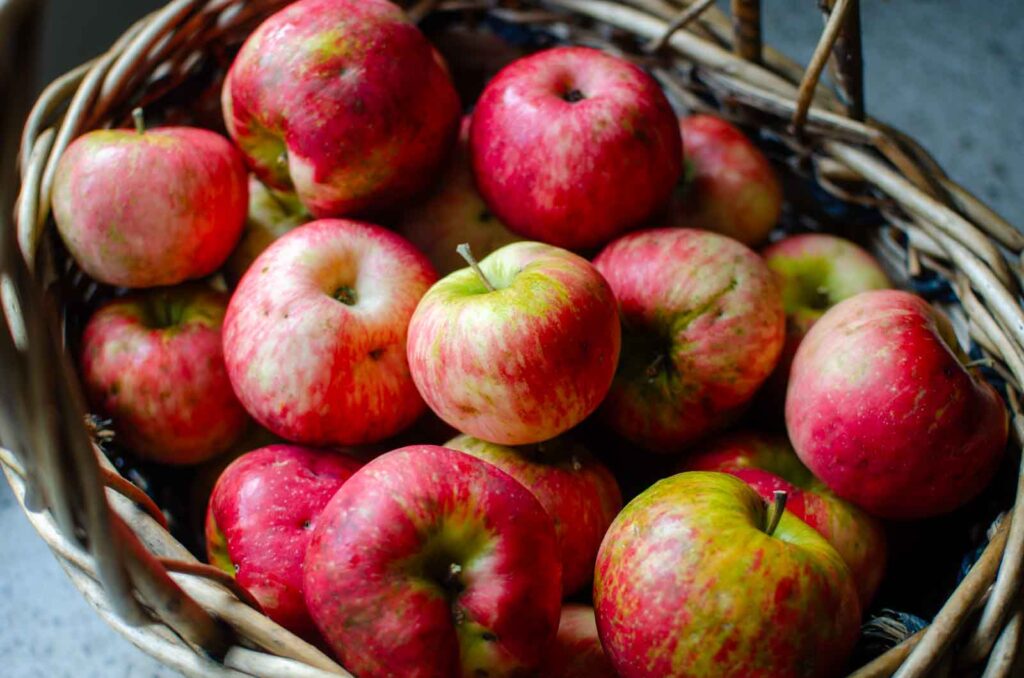 a basket full of apples