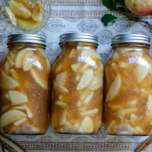 apple pie filling canned in glass mason jars with apples and cinnamon sticks next to them.