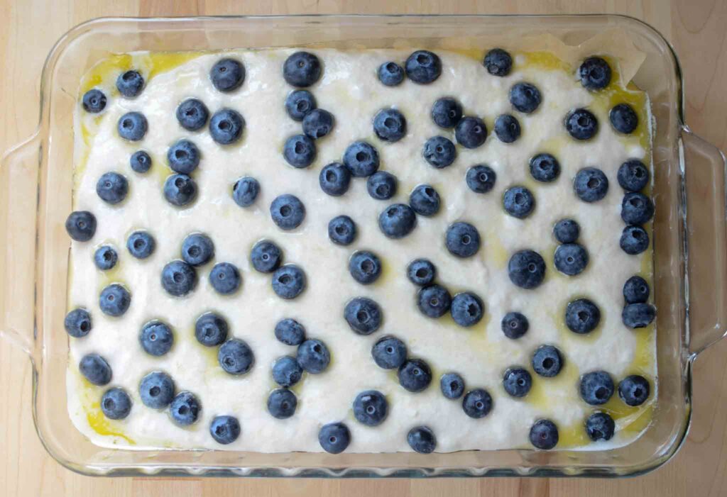 sourdough focaccia bread dough with blueberries