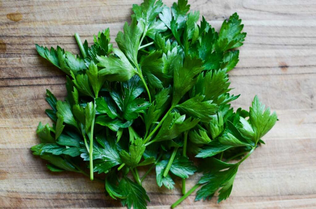 a bundle of fresh parsley