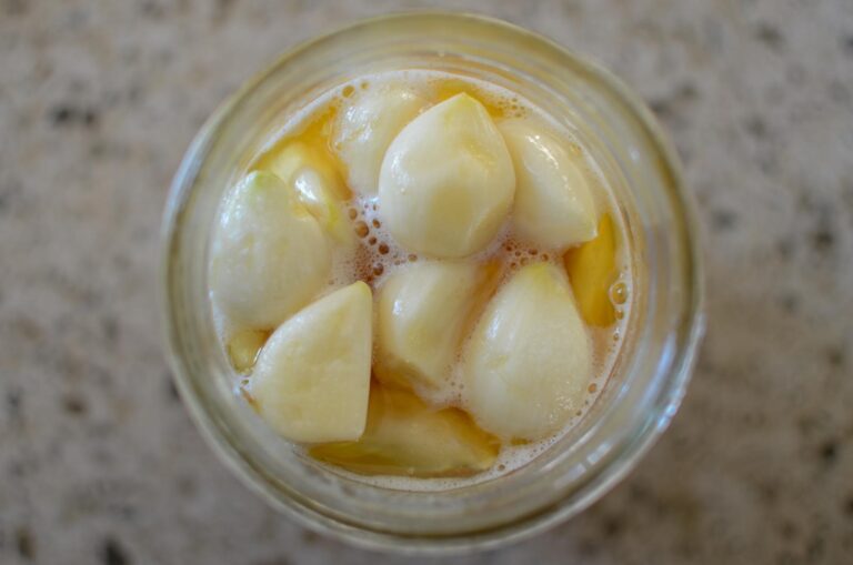 fermented garlic honey in a glass jar