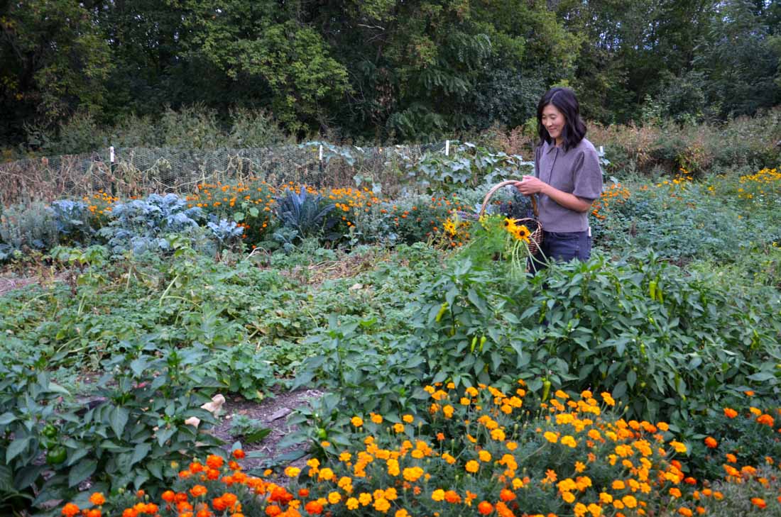 Woman in garden with basket of flowers 