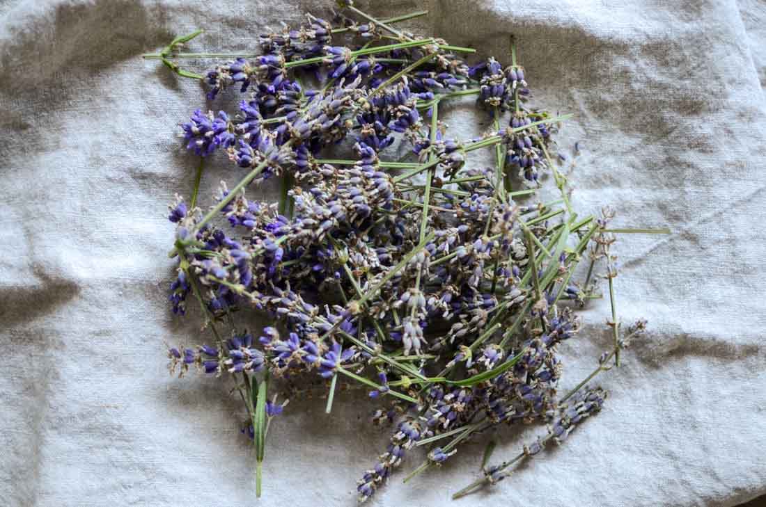 dried lavender