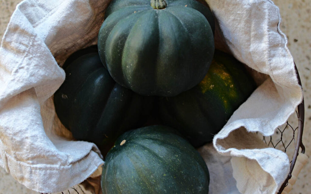 basket of acorn squash