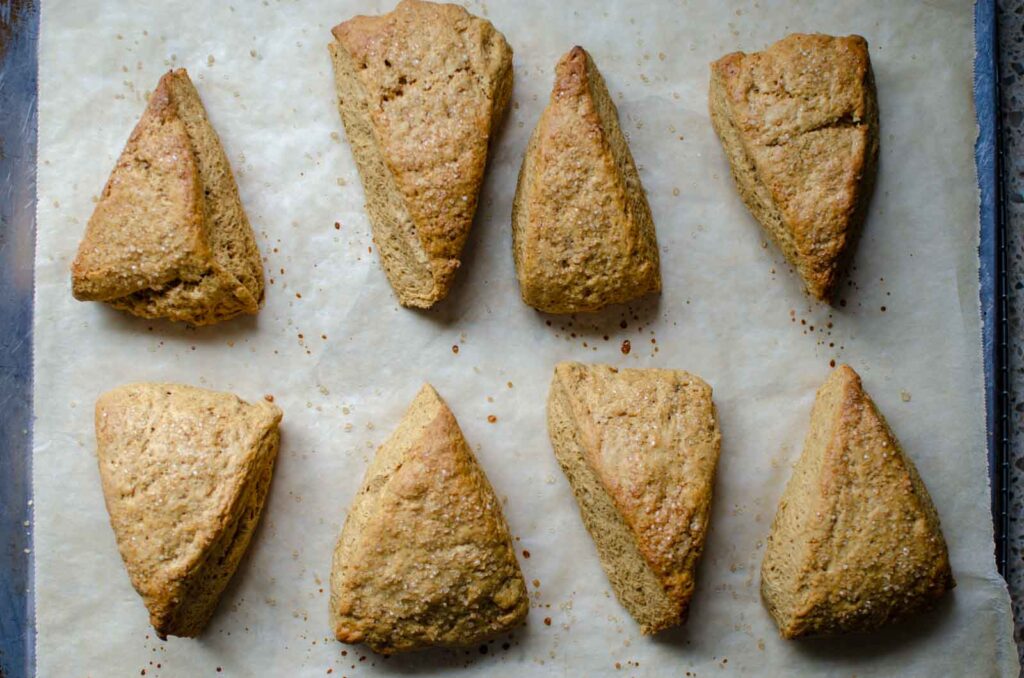 baked sourdough gingerbread scones on baking sheet