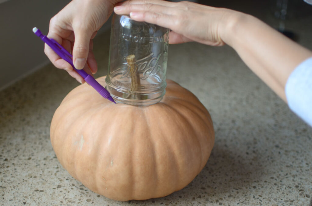 tracing a mason jar outline on the top of a pumpkin 