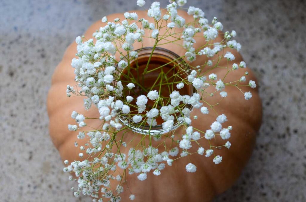 baby's breath in the mason jar in a pumpkin 